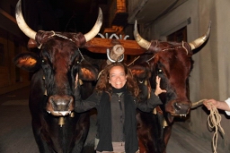 Calatafimi - Segesta492.JPG